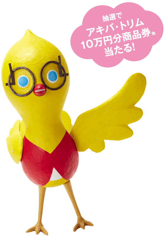 アキバトリム10周年キャンペーン